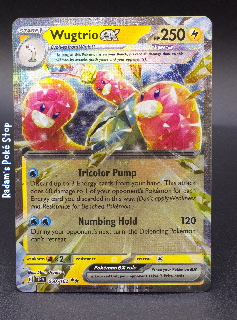 tef 060_162 wugtrio ex.png