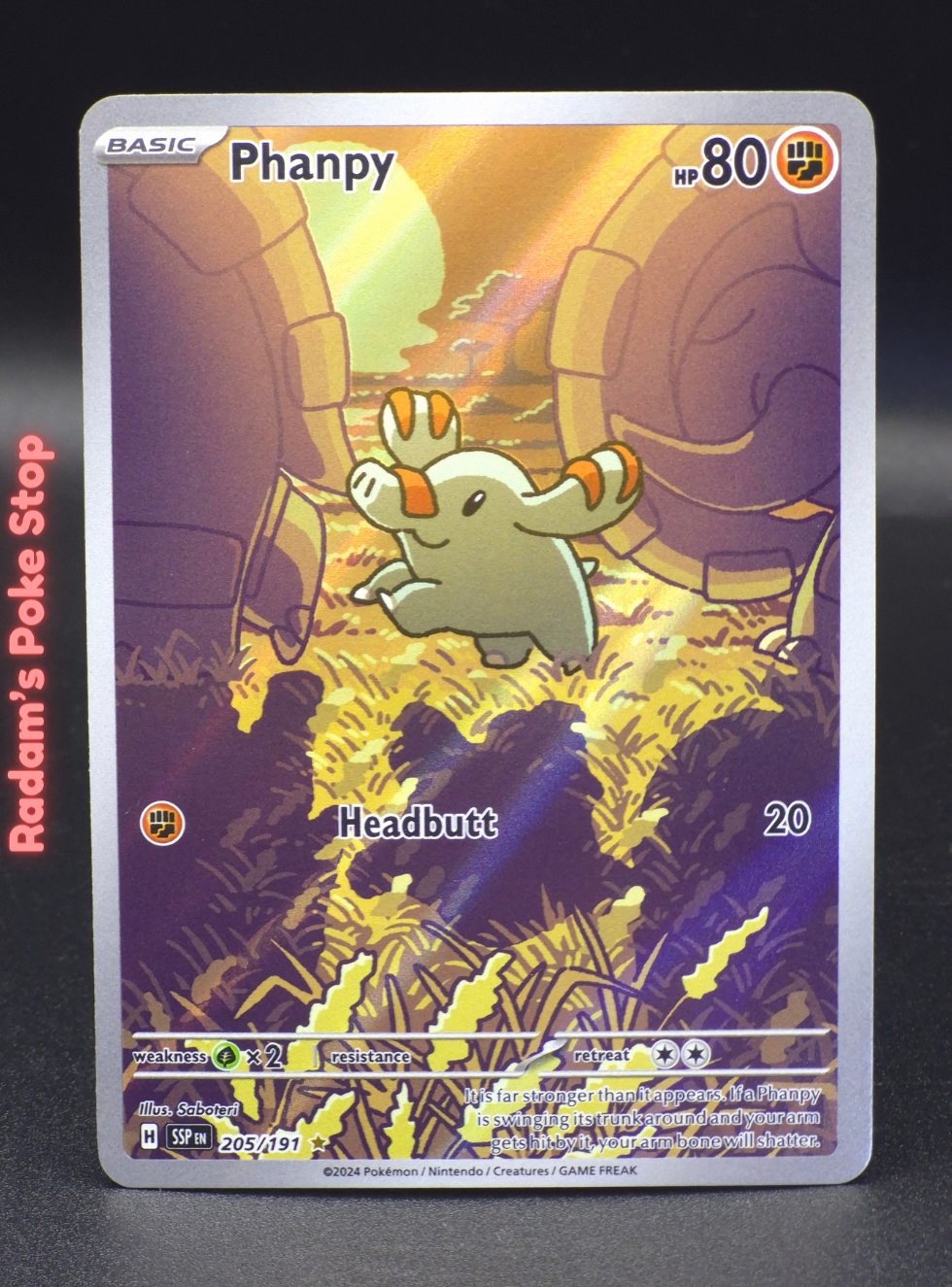 ir ssp 205_191 phanpy (3).png