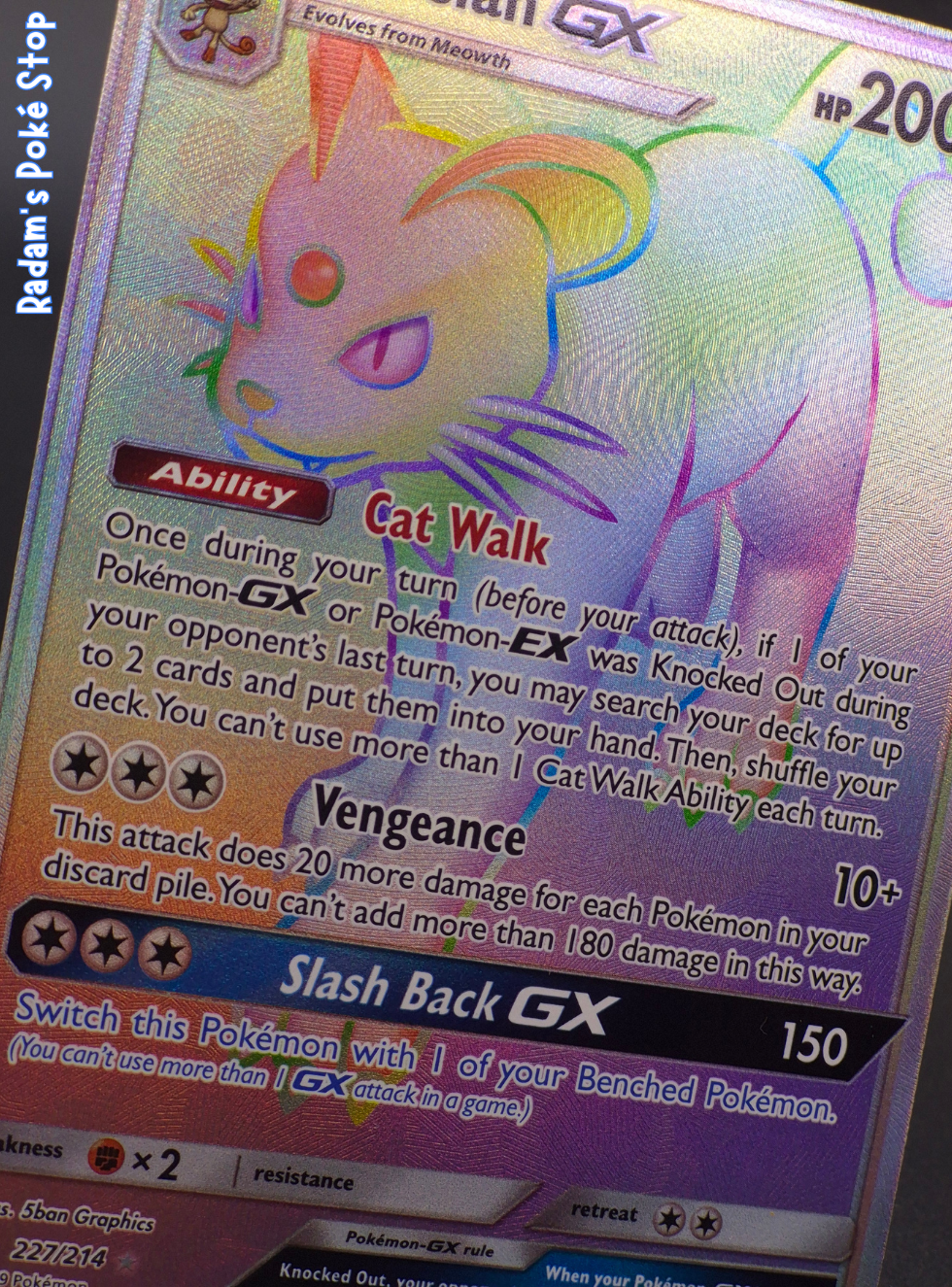 Unbroken Bonds SM Persian GX 227_214 (2).png