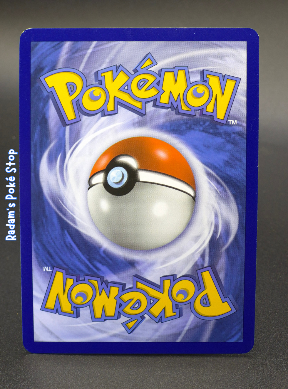 SM190 detective pikachu (2).png