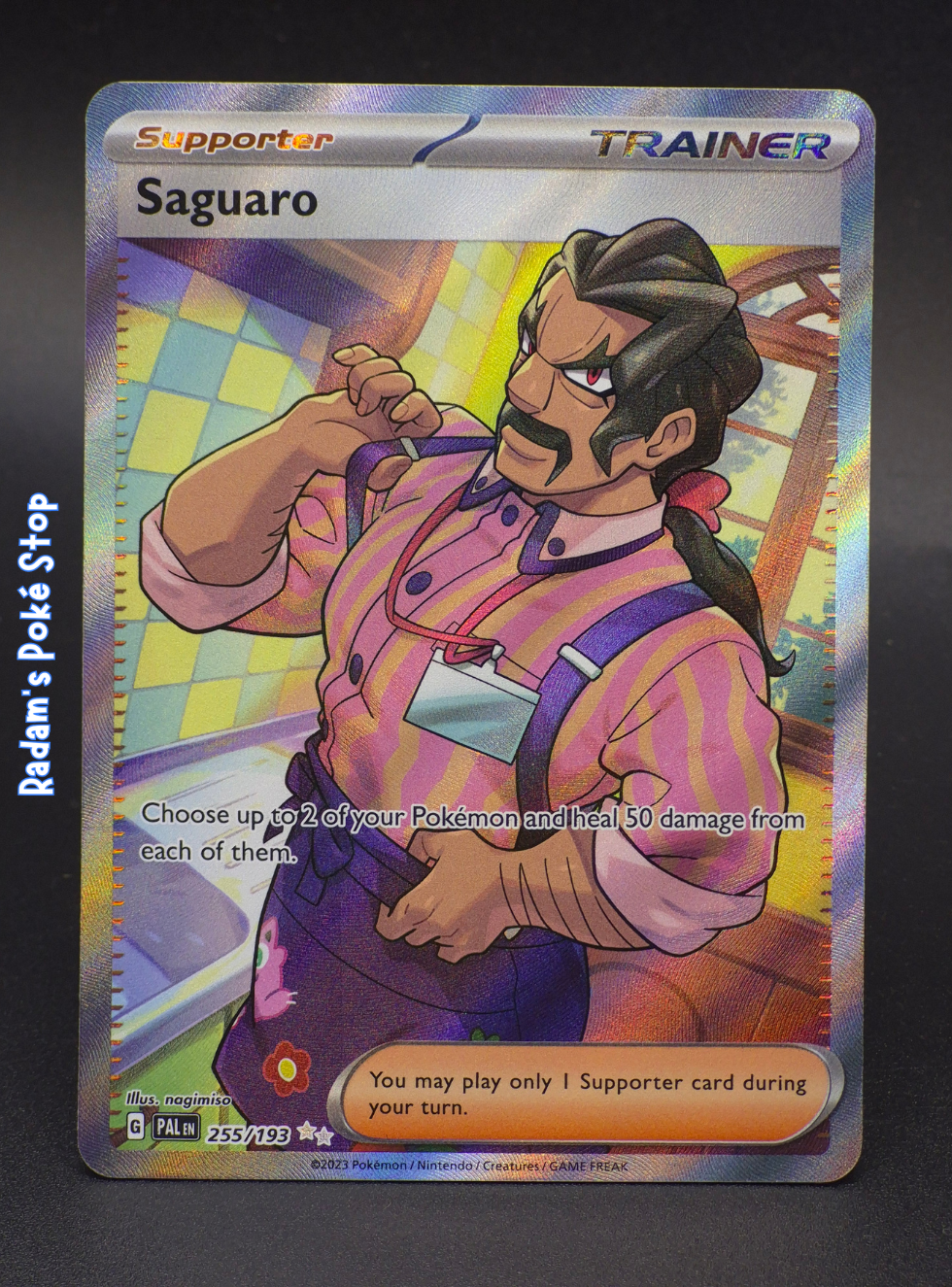 pal 255_193 ur saguaro.png