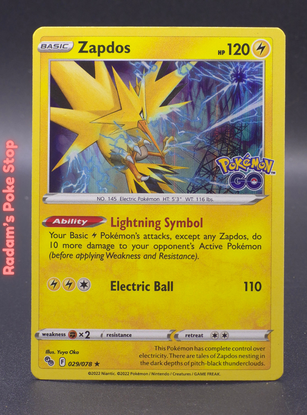 POGO 029_078 zapdos.png