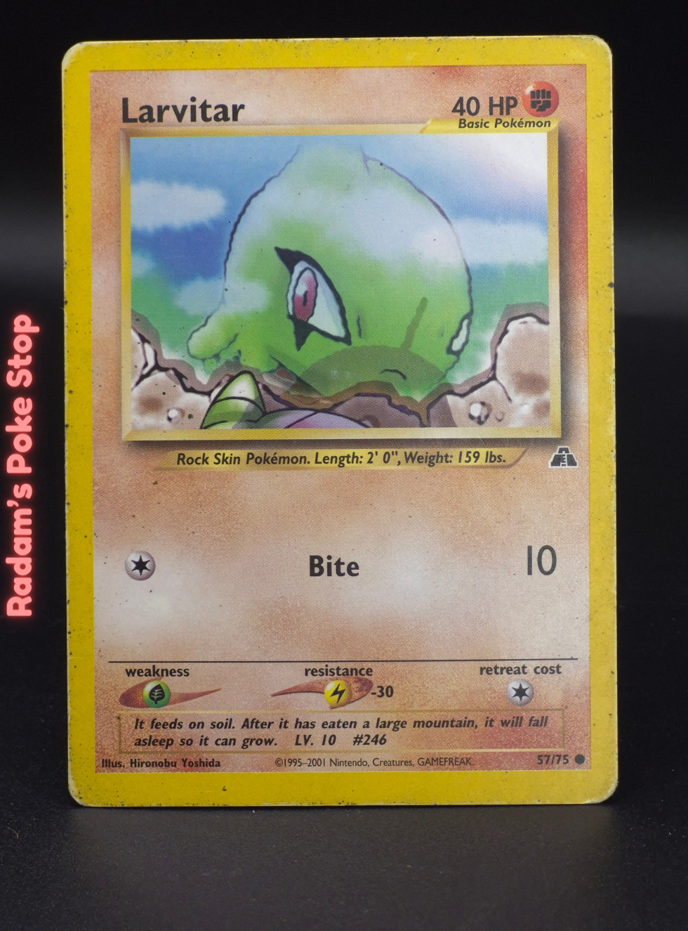 neo d 57_75 larvitar.png