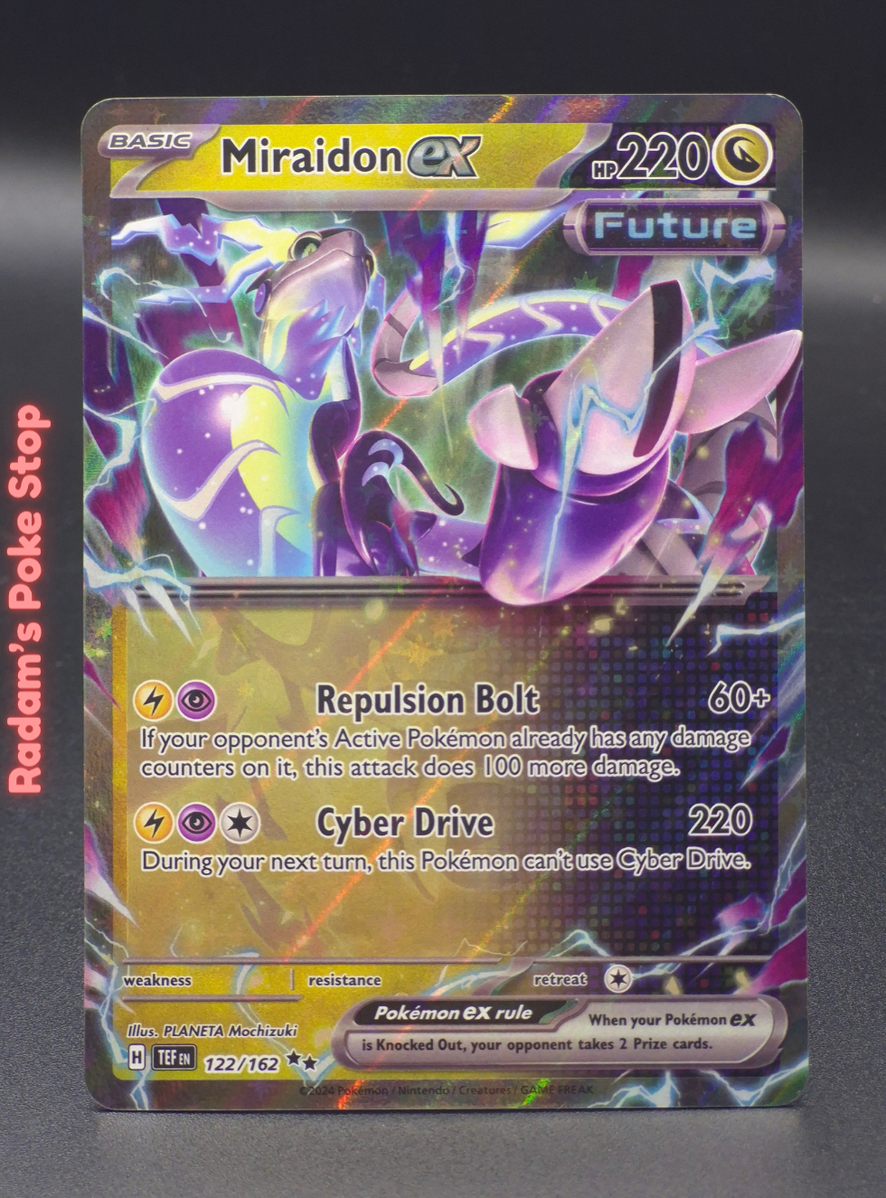 TEF 122_162 miraidon ex.png