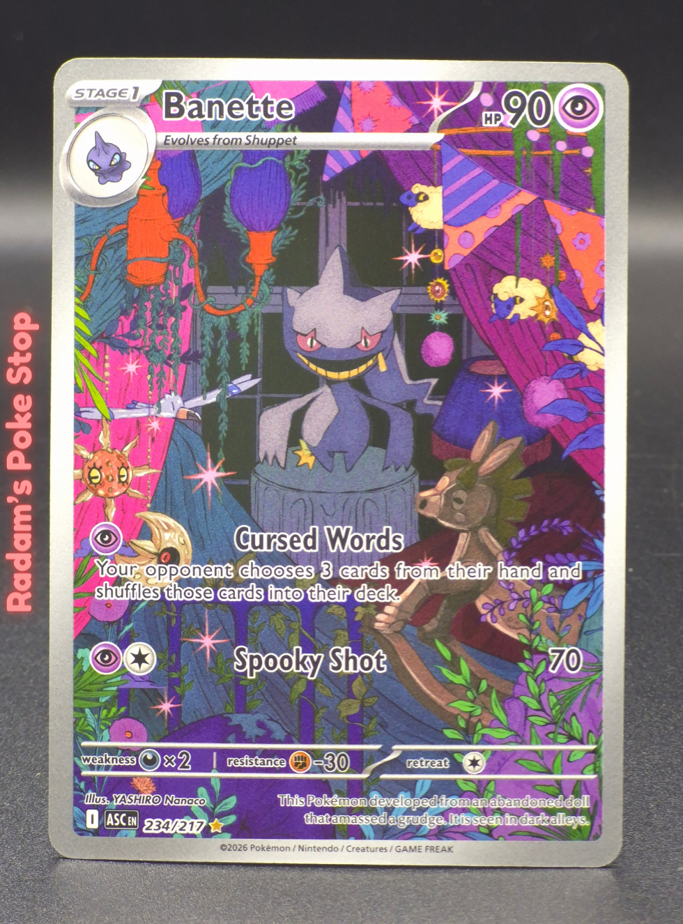 ASC 234_217 banette.png