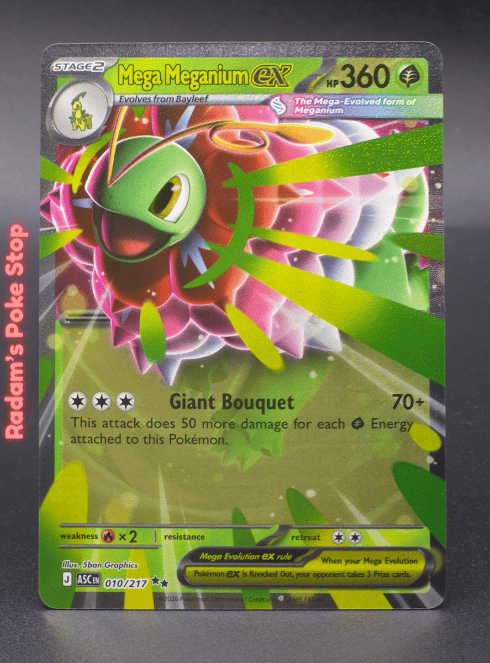 Mega Meganium ex #010 DR Ascended Heroes