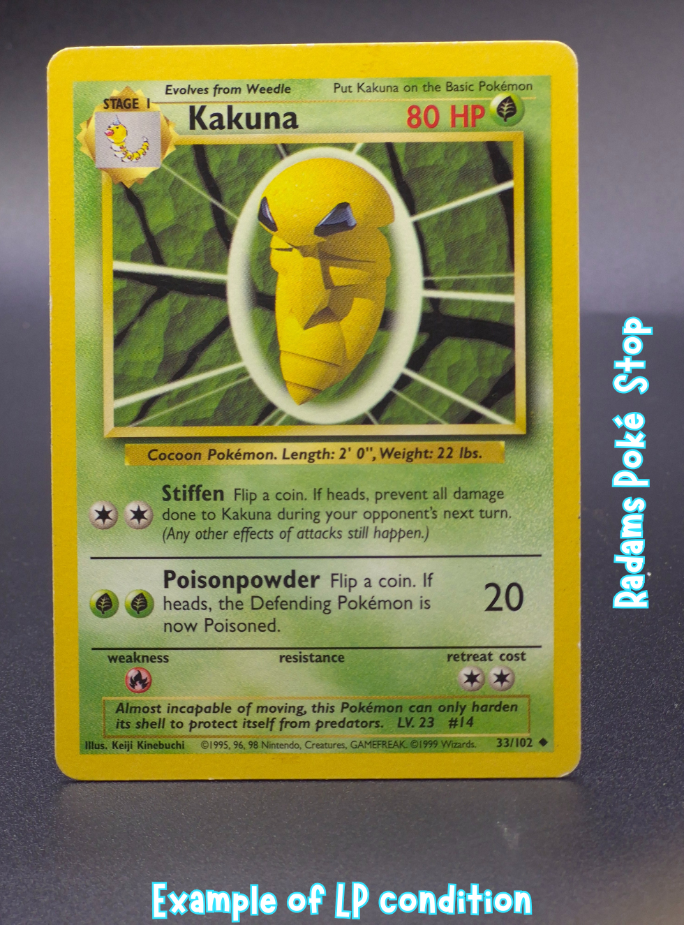 Base LP Kakuna 33_102.png