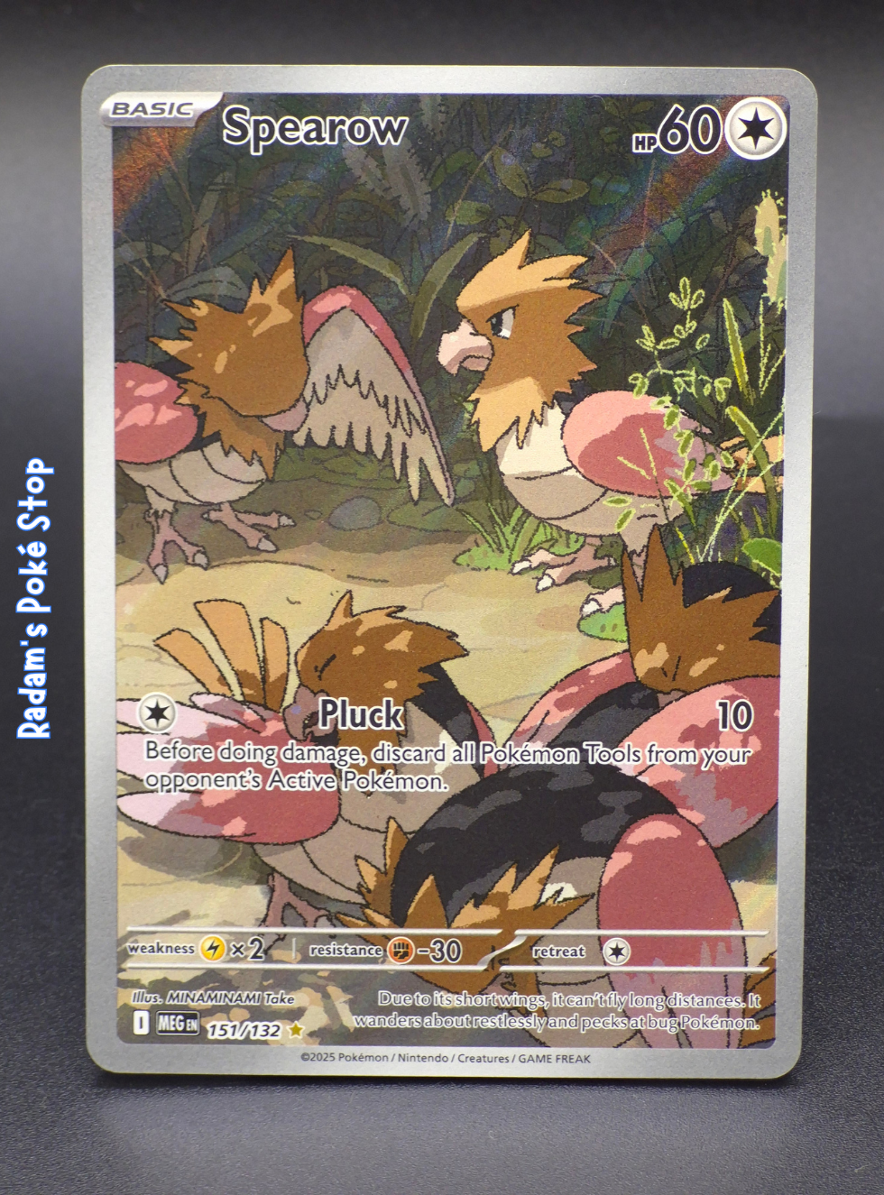 meg 151_132 spearow.png