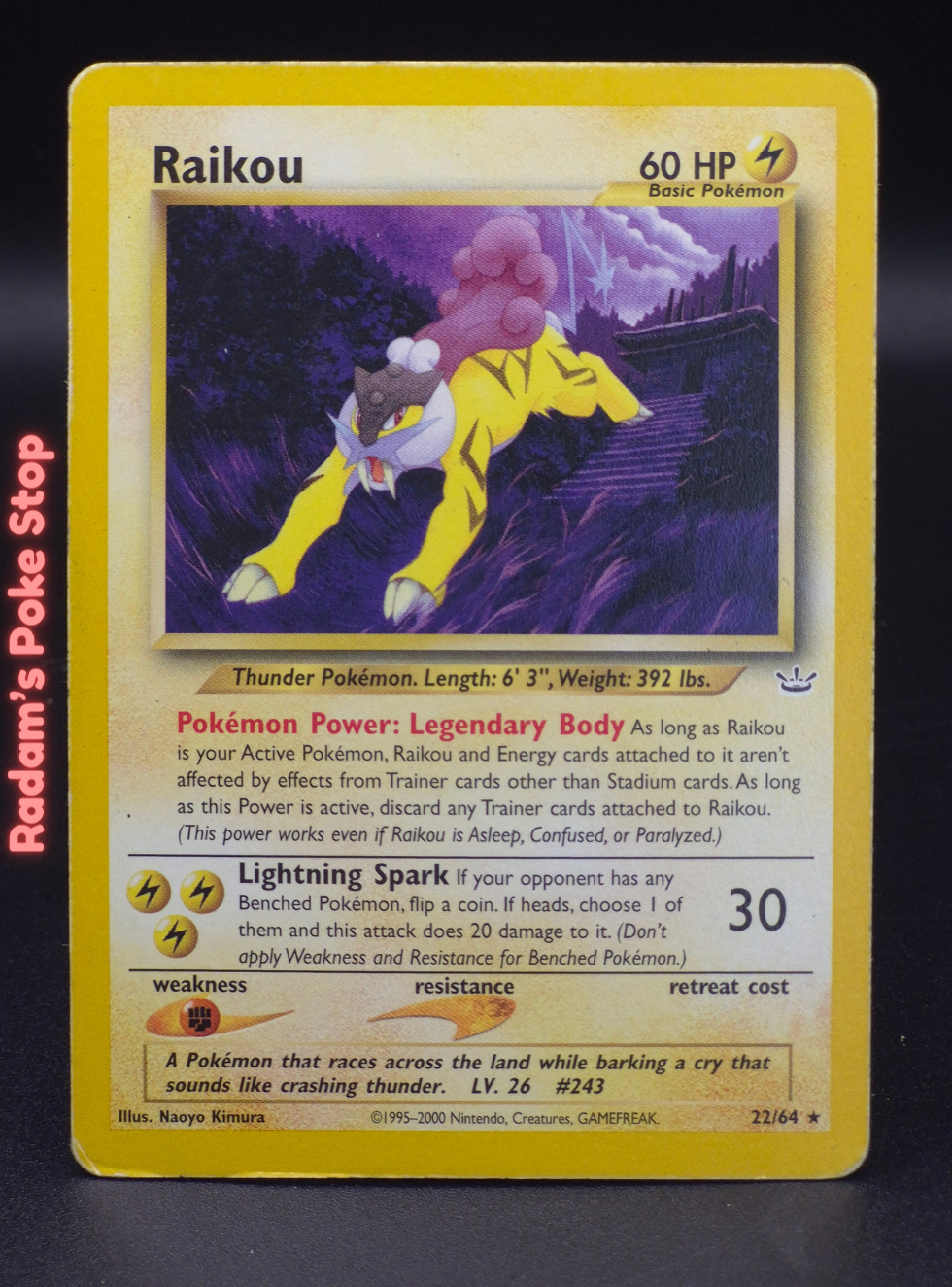 neo r 22_64 raikou.png