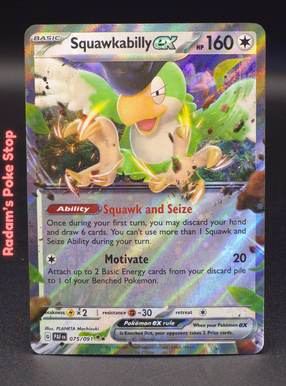 paf 075_091 squawkabilly ex.png