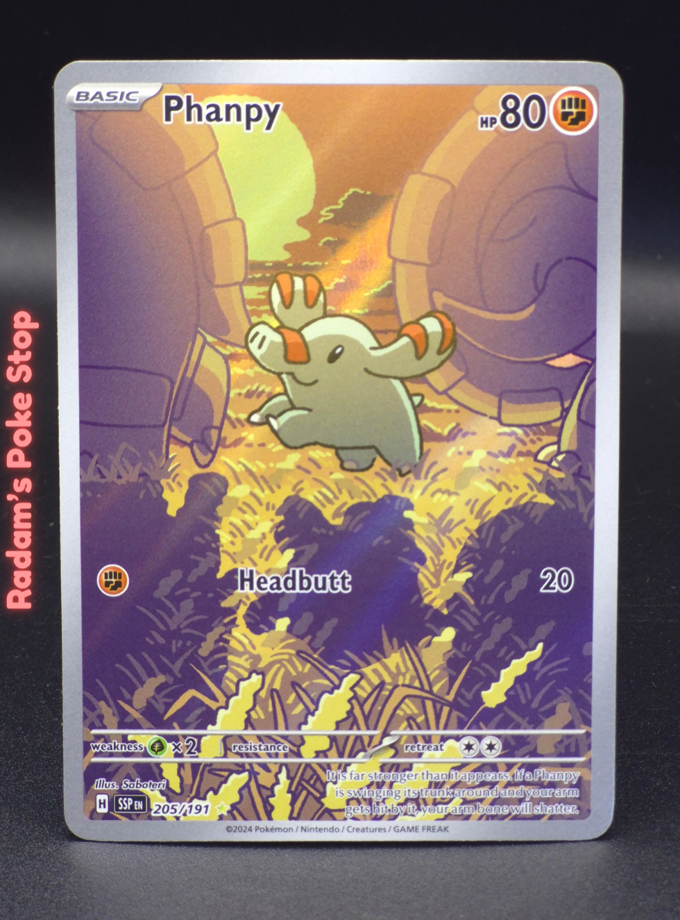 ir ssp 205_191 phanpy.png