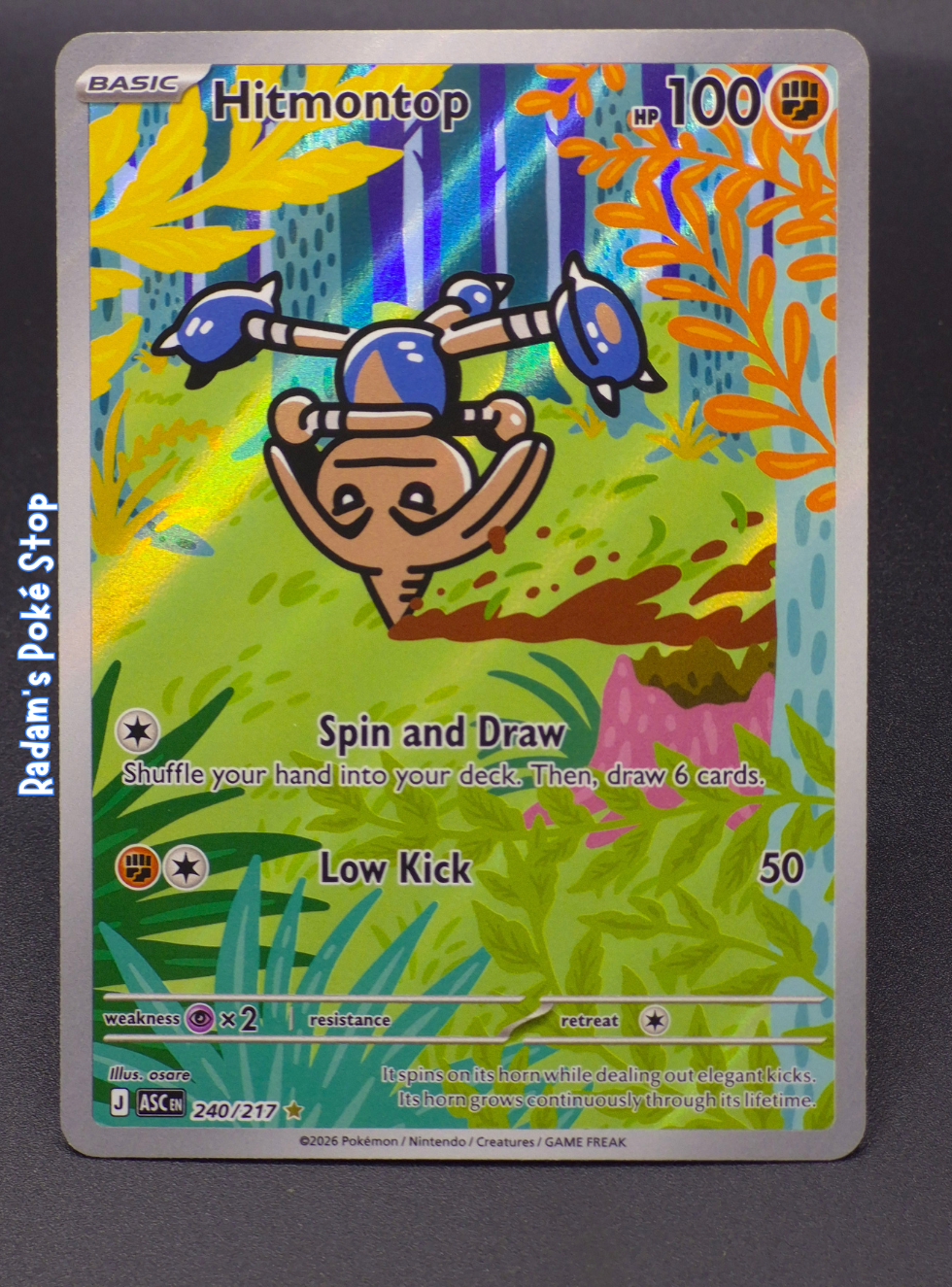 asc 240_217 ir hitmontop.png