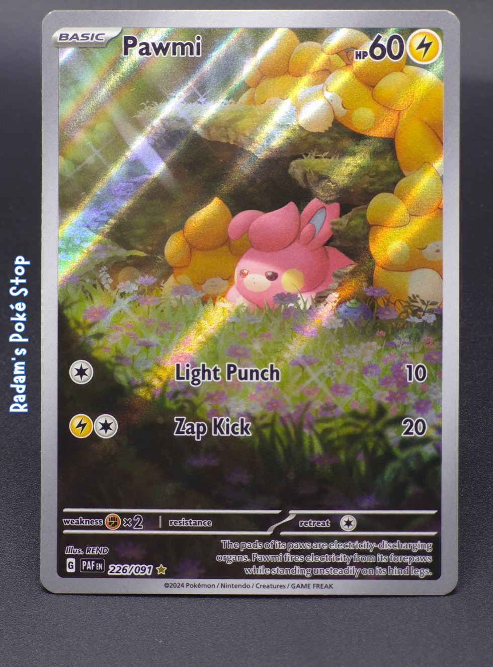 paf 226_091 ir pawmi.png
