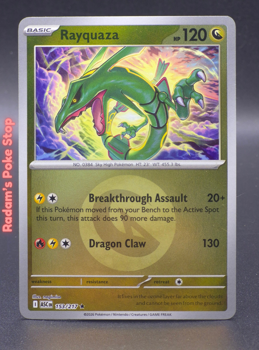 AH 153_217 rayquaza reverse.png