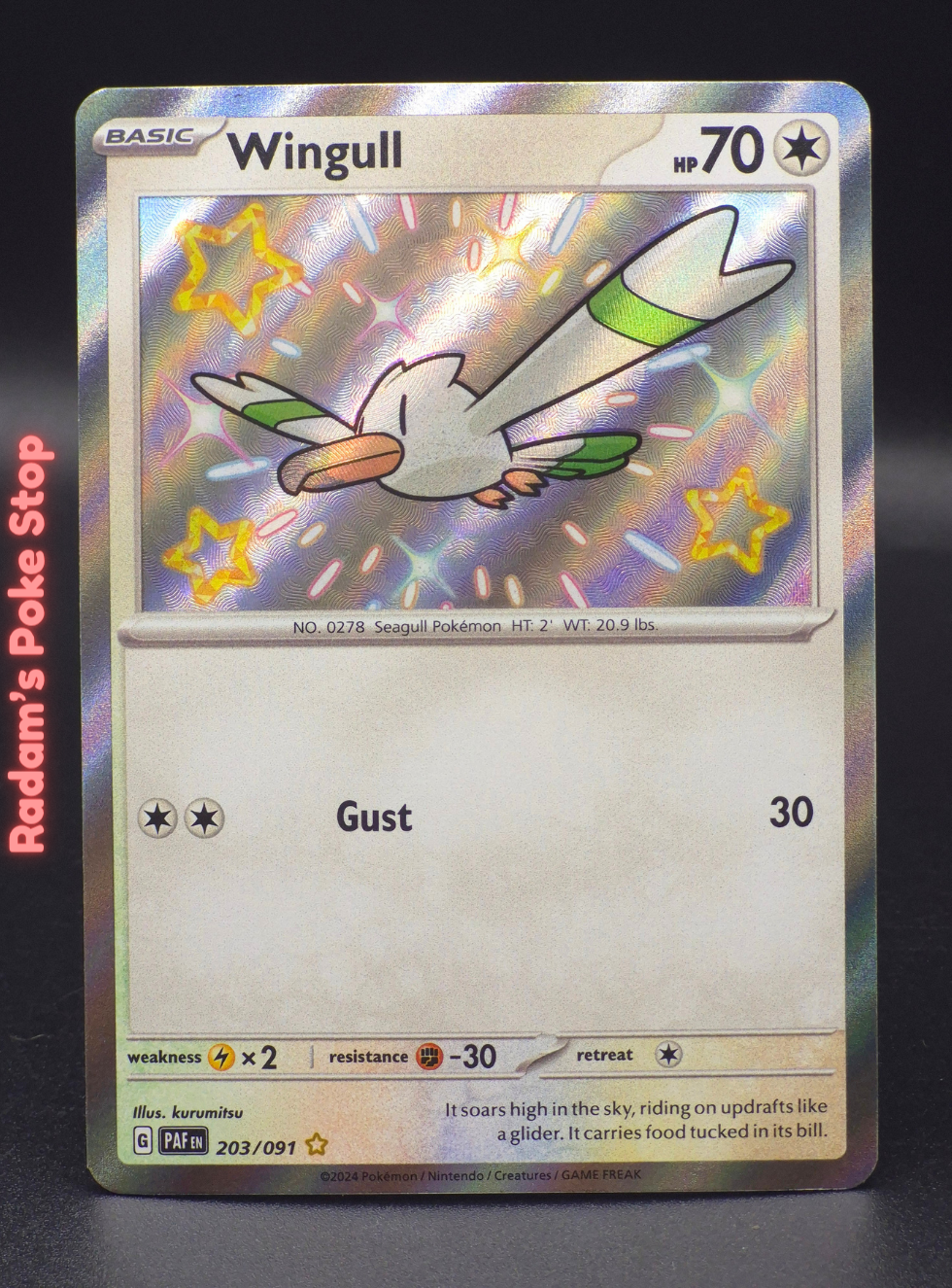 Shiny PAF 203_091 wingull.png