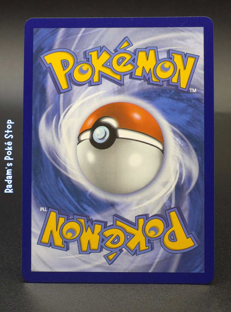 mep 049 snivy (2).png