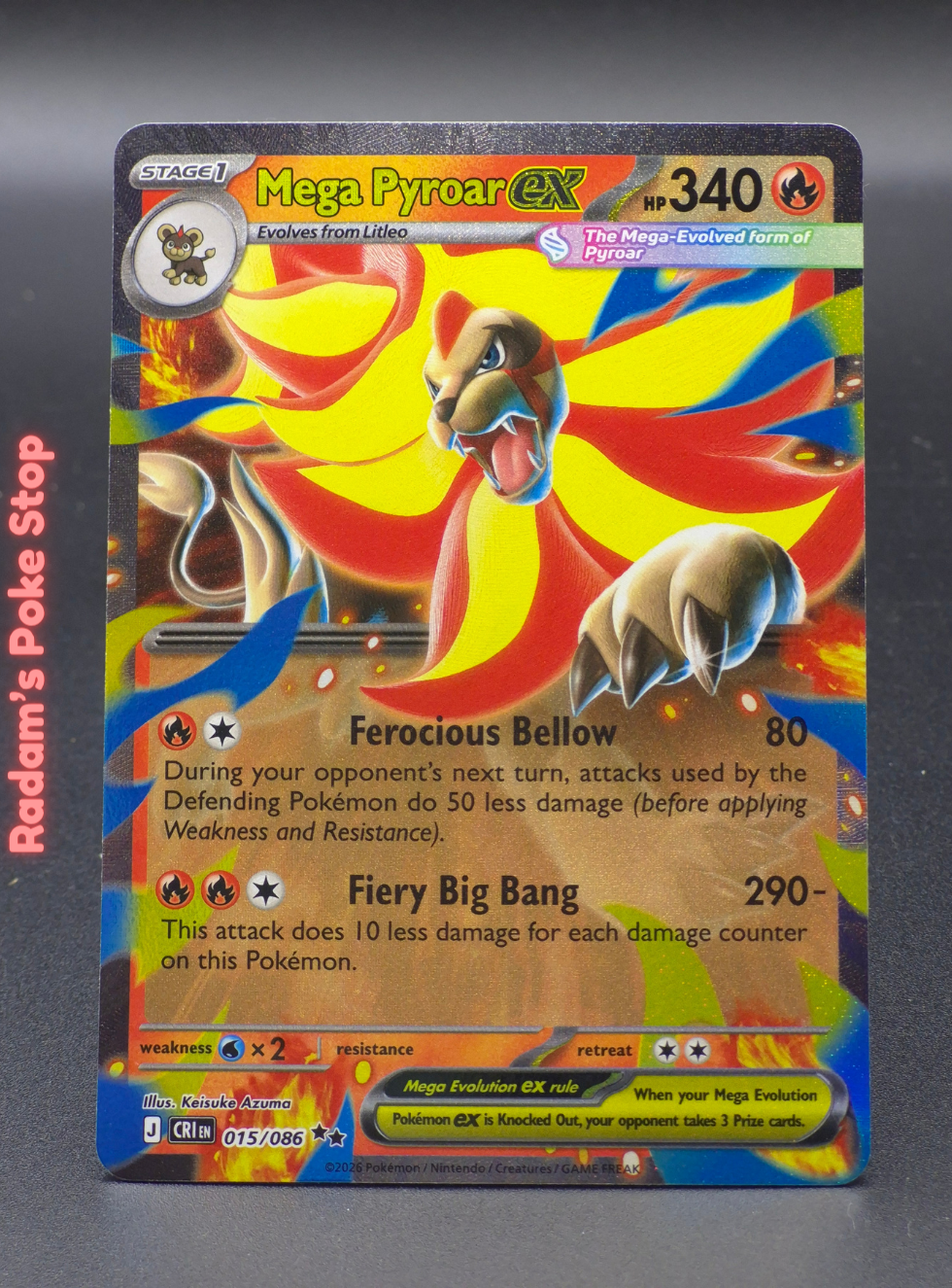 cri 015_086 (3).png