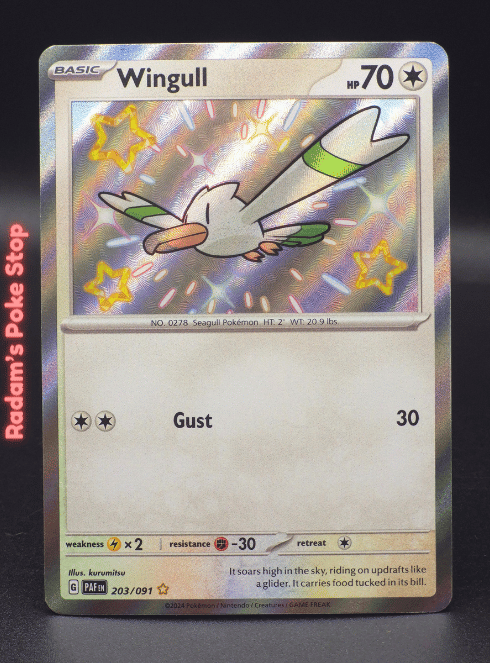 Wingull #203 Paldean Fates Shiny Rare