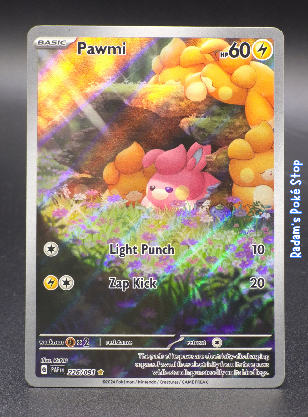 paf 226_091 pawmi.png