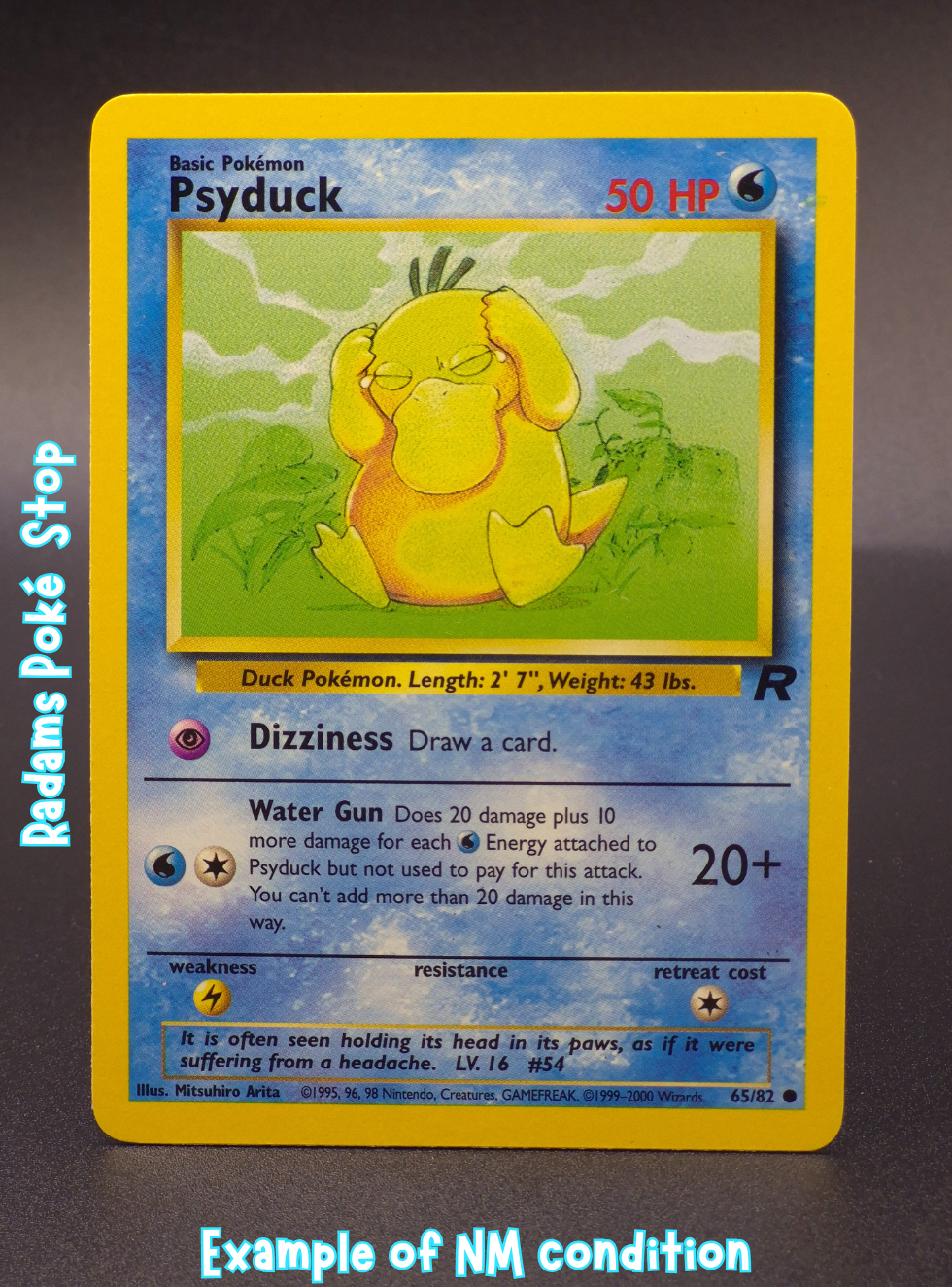 TR NM Psyduck 65_82.png