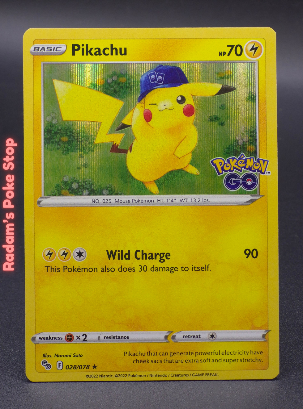 pogo 028.png