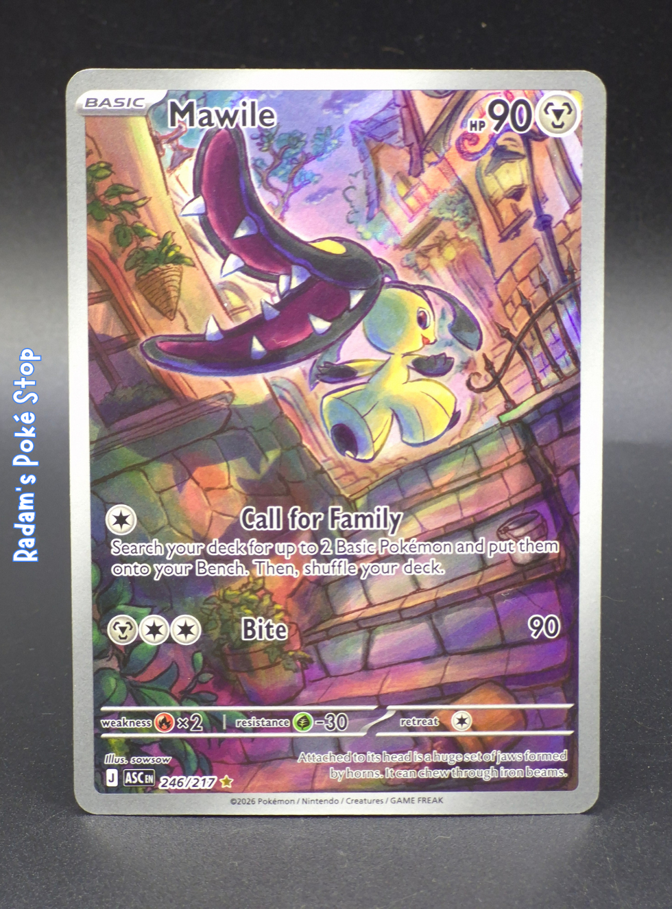 ASC 246_217 mawile ir.png