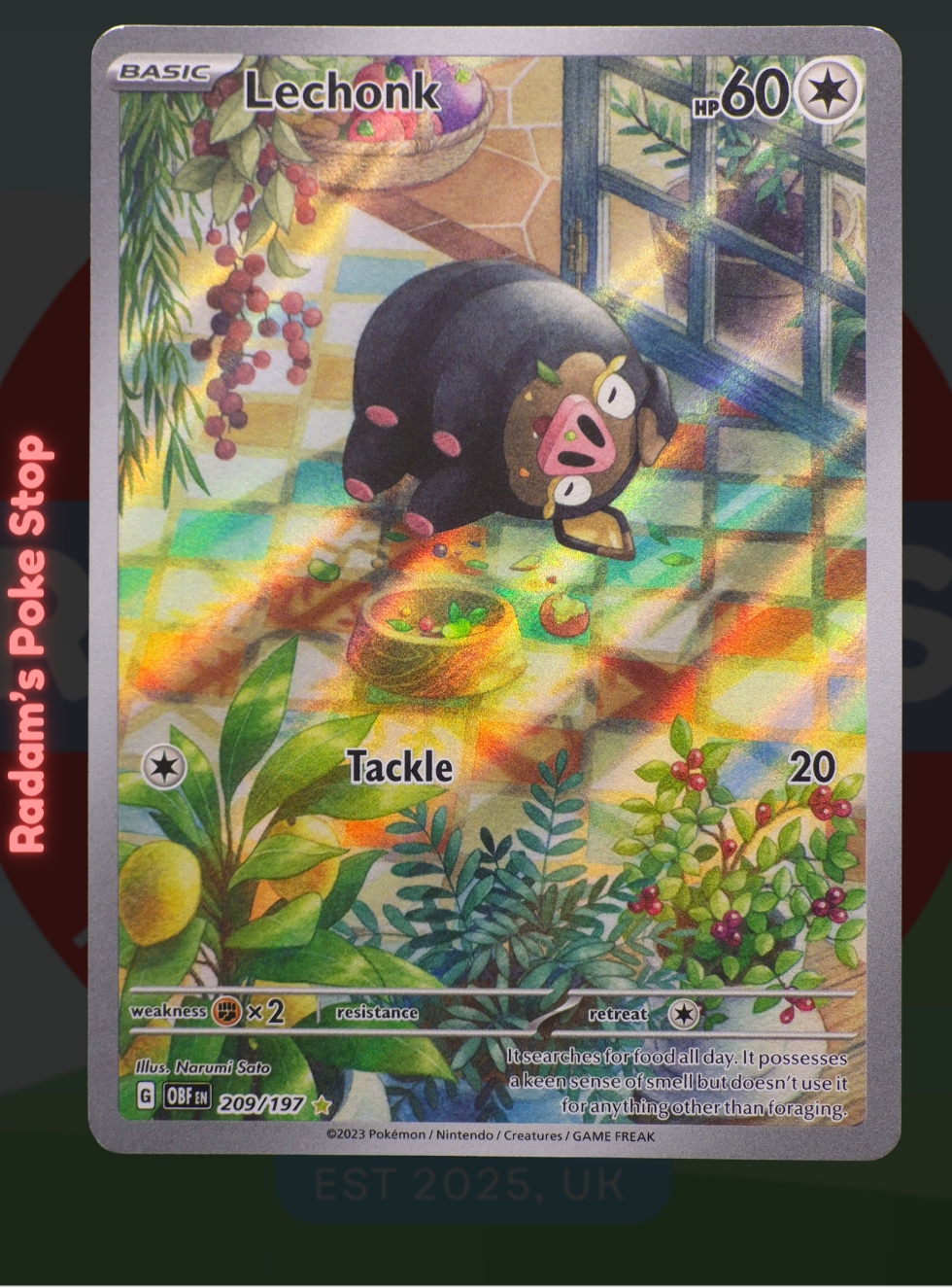 Lechonk 209/197, Obsidian Flames, Illustration Rare presented by Pokémon TCG. 