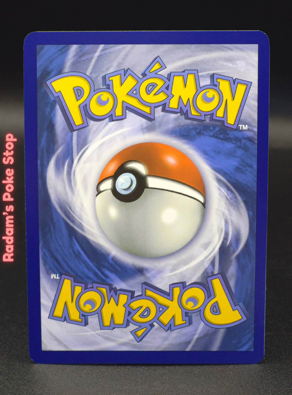 ir ssp 213_191 kecleon (2).png