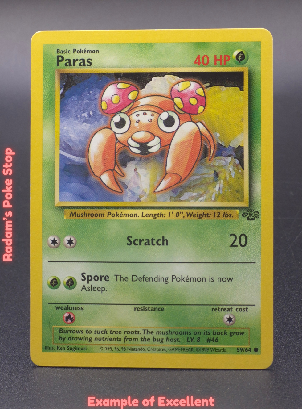 EX Paras.png