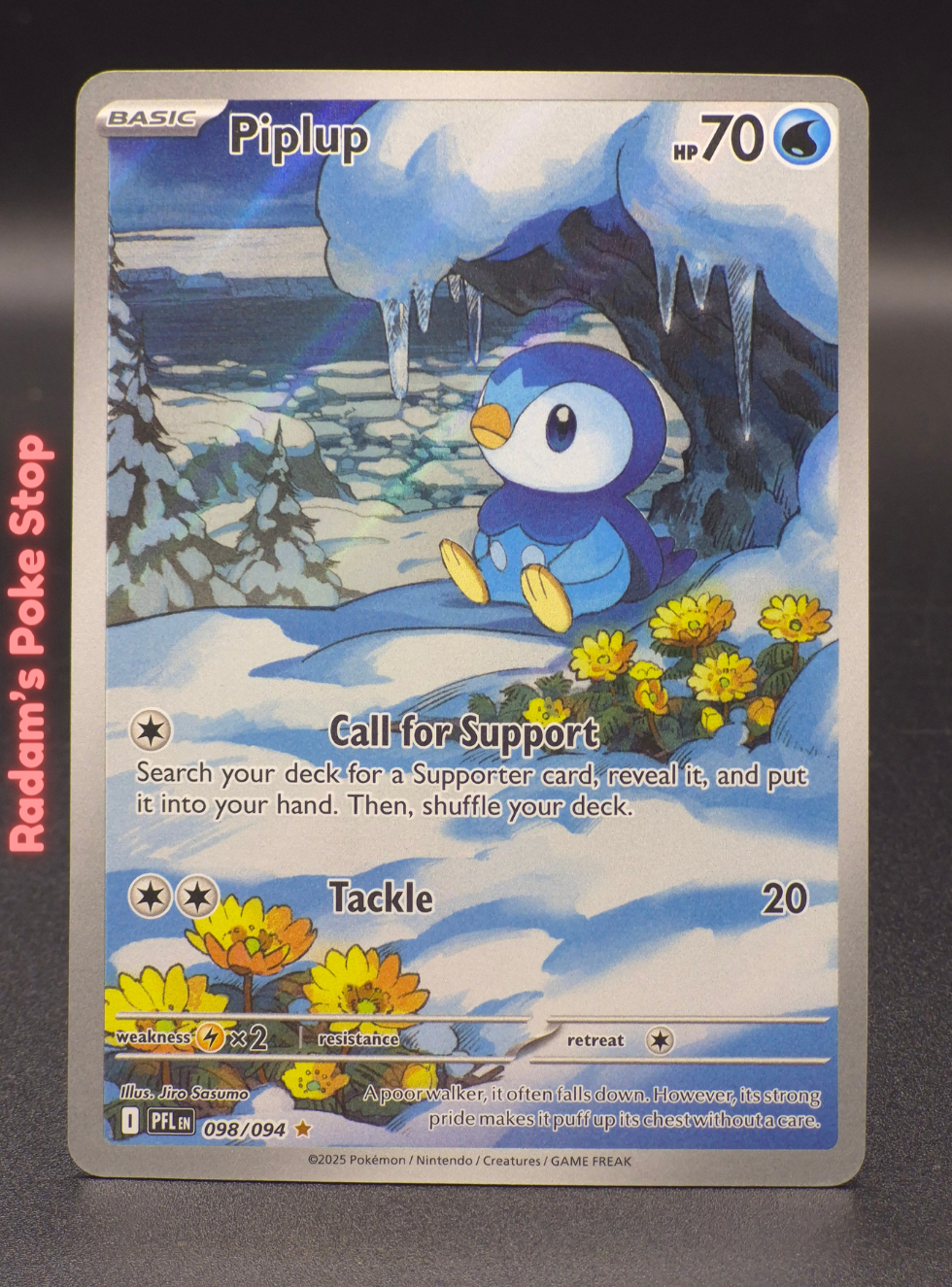 pfl 098_094 piplup.png