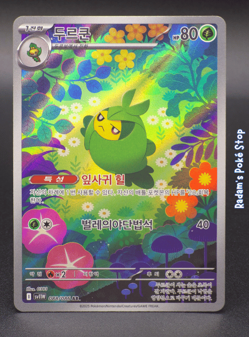 Swadloon #088 sv11b KOR