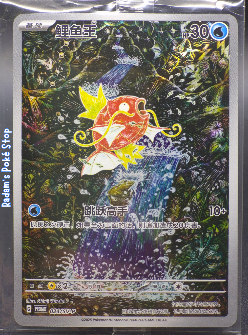 magikarp 024_sv-p (2).png