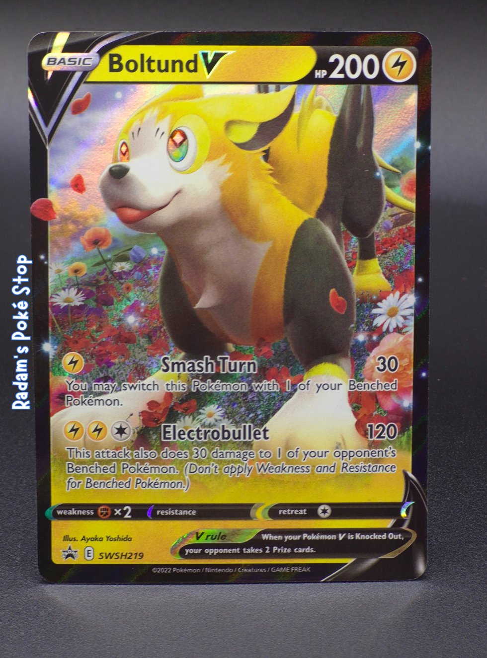 Boltund V #SWSH219 Black Star Promo