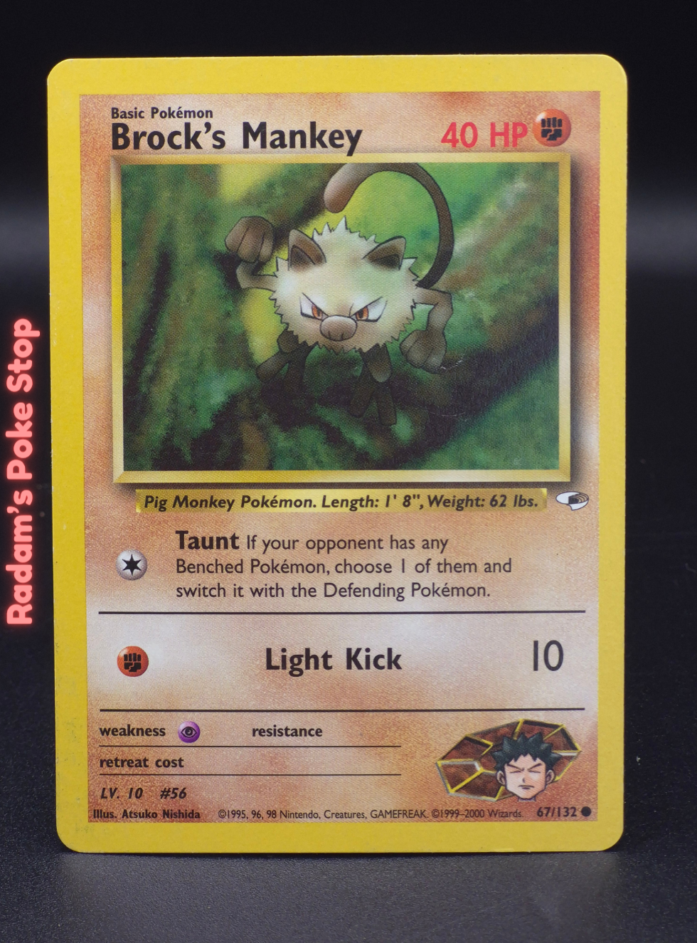 GH 67_132 brock's mankey (7).png