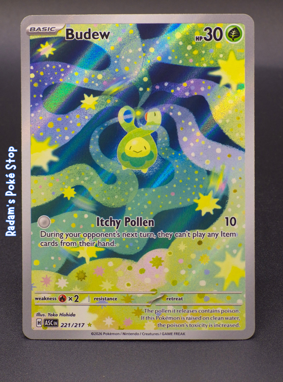 asc 221_217 ir budew.png