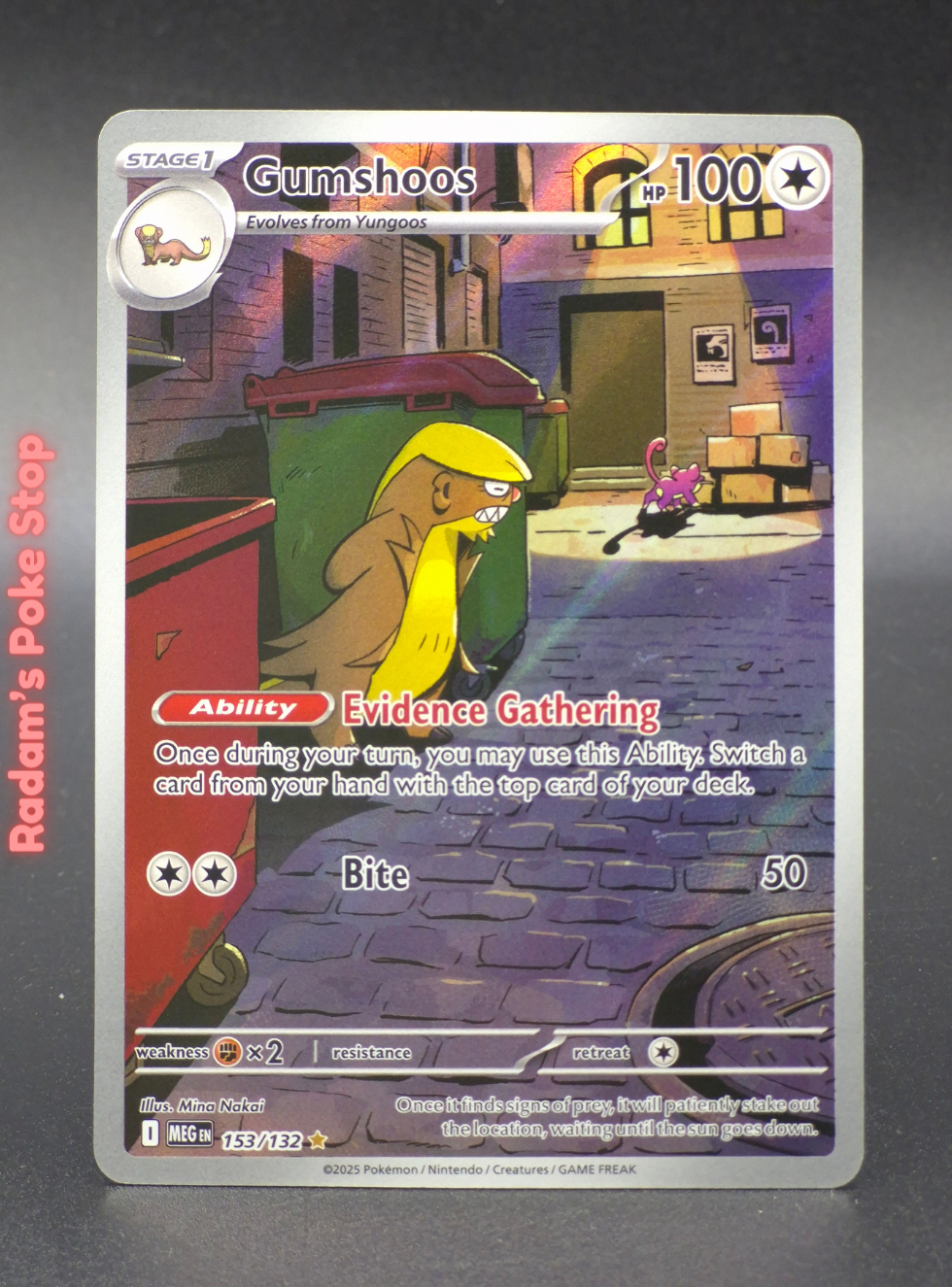 meg 153_132 gumshoos (3).png