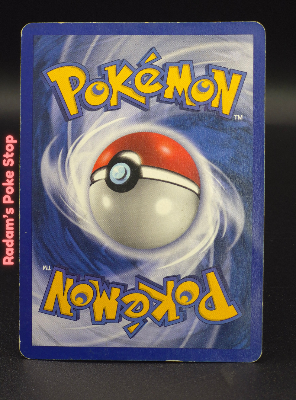 neo g 53_111 chikorita (2).png