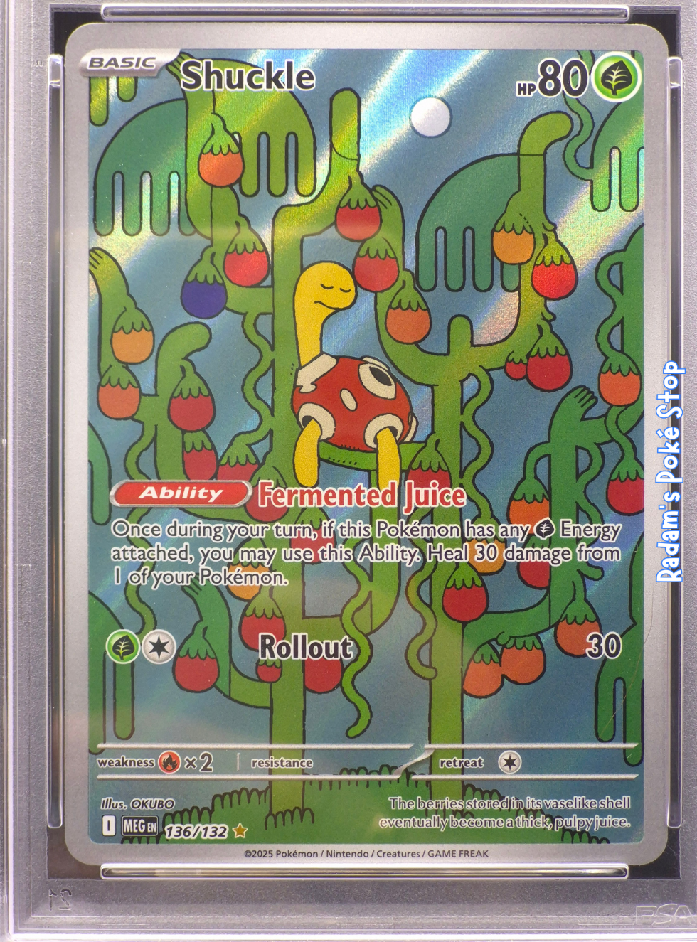 Meg 136_132 shuckle psa 9 (2).png