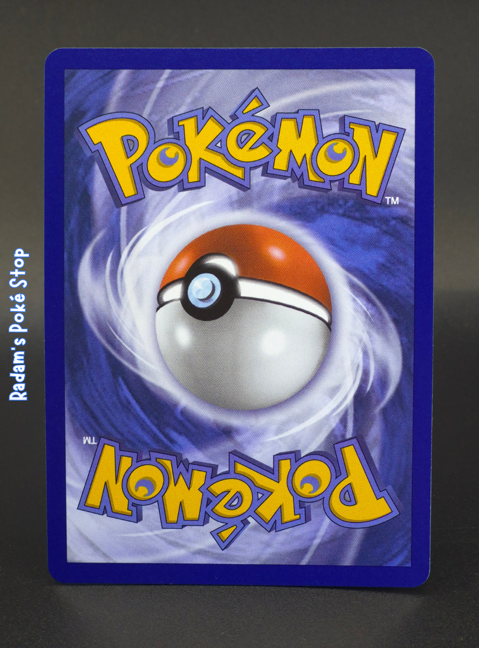 First Partner Litten MEP 044 (2).png