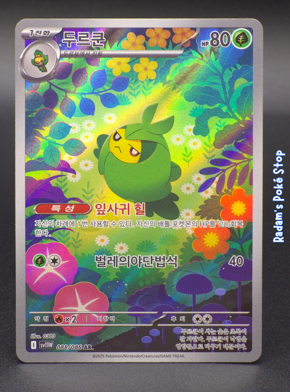 sv11w 088_086 sewaddle.png