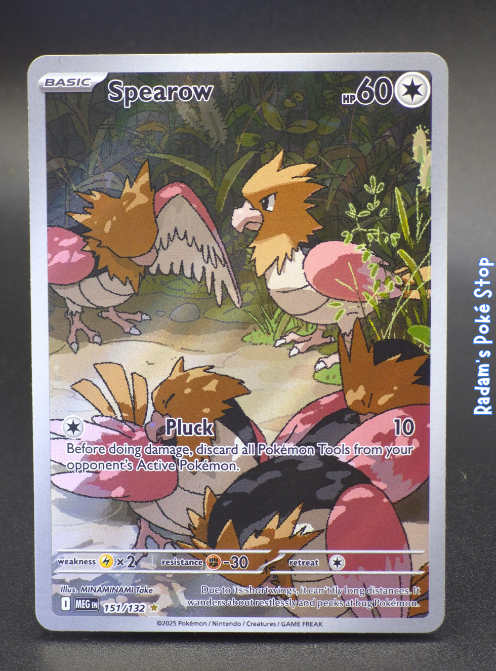 meg 151_132 spearow.png