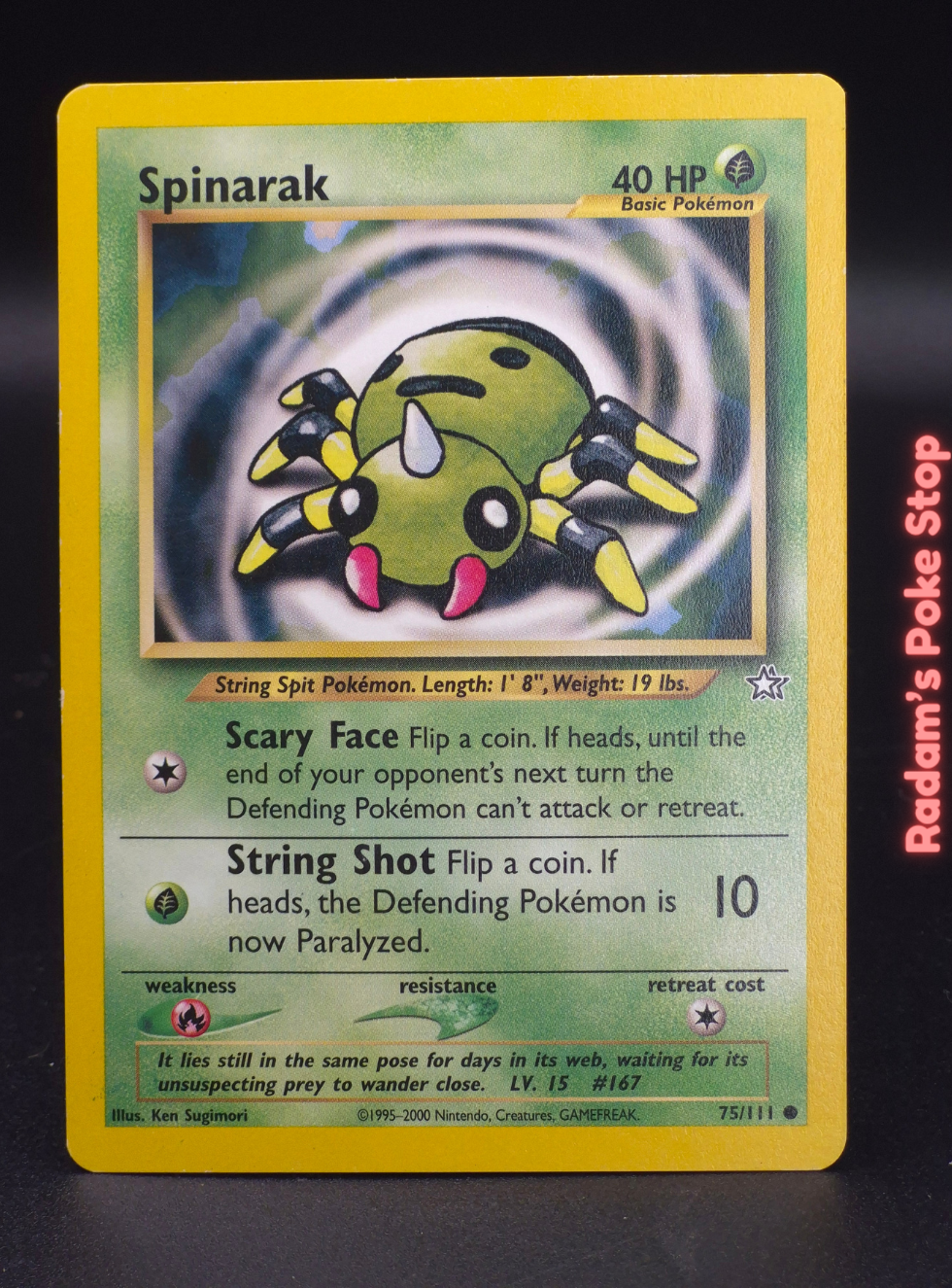 neo g 75_111 spinarak.png