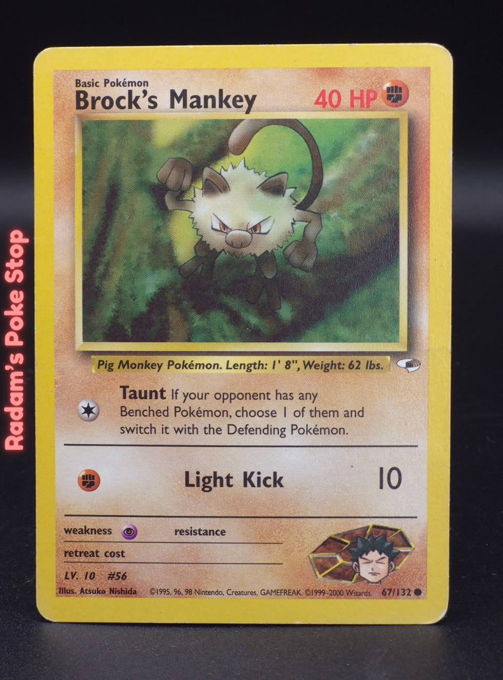 GH 67_132 brock's mankey (3).png