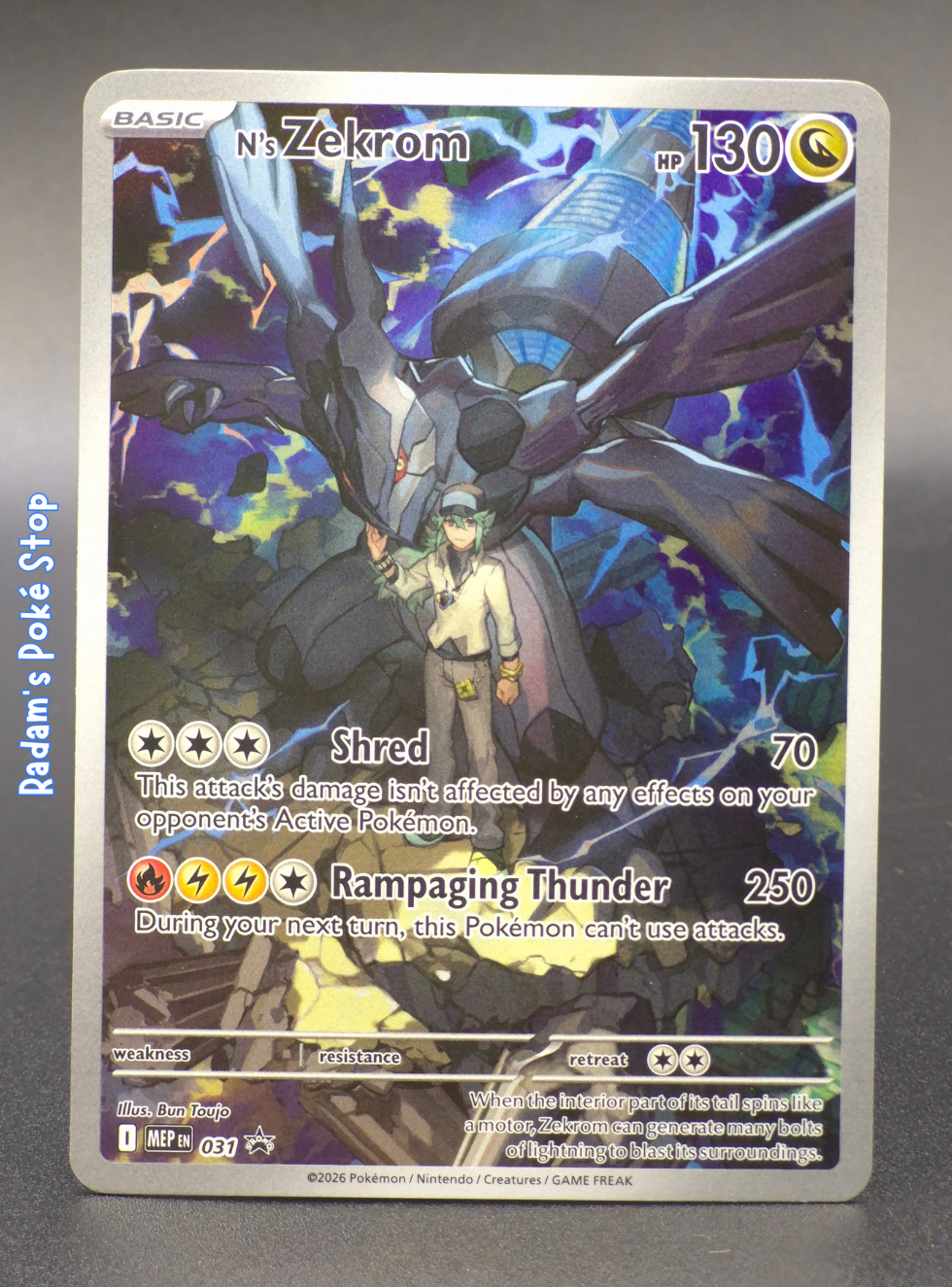 mep 031 n's zekrom.png