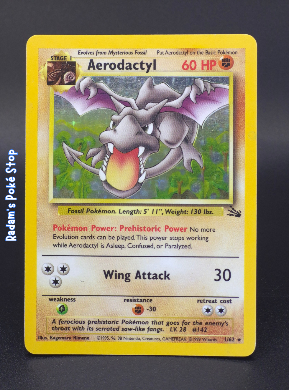 Fossil 1_62 Aerodactyl.png
