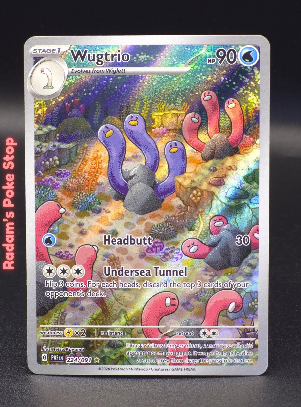 ir paf 224_091 wugtrio (3).png