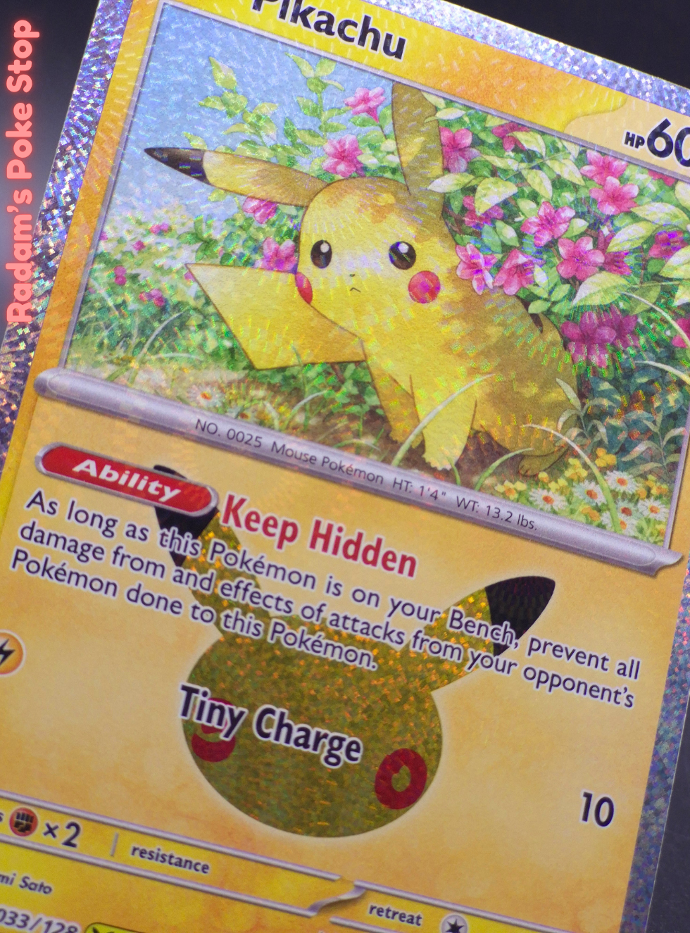 30C 11 033 (2).png