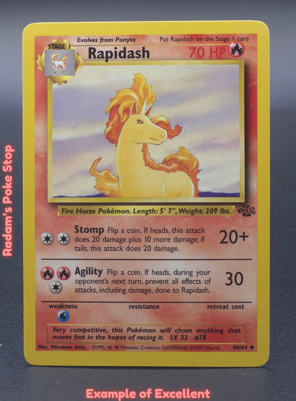 EX Rapidash.png