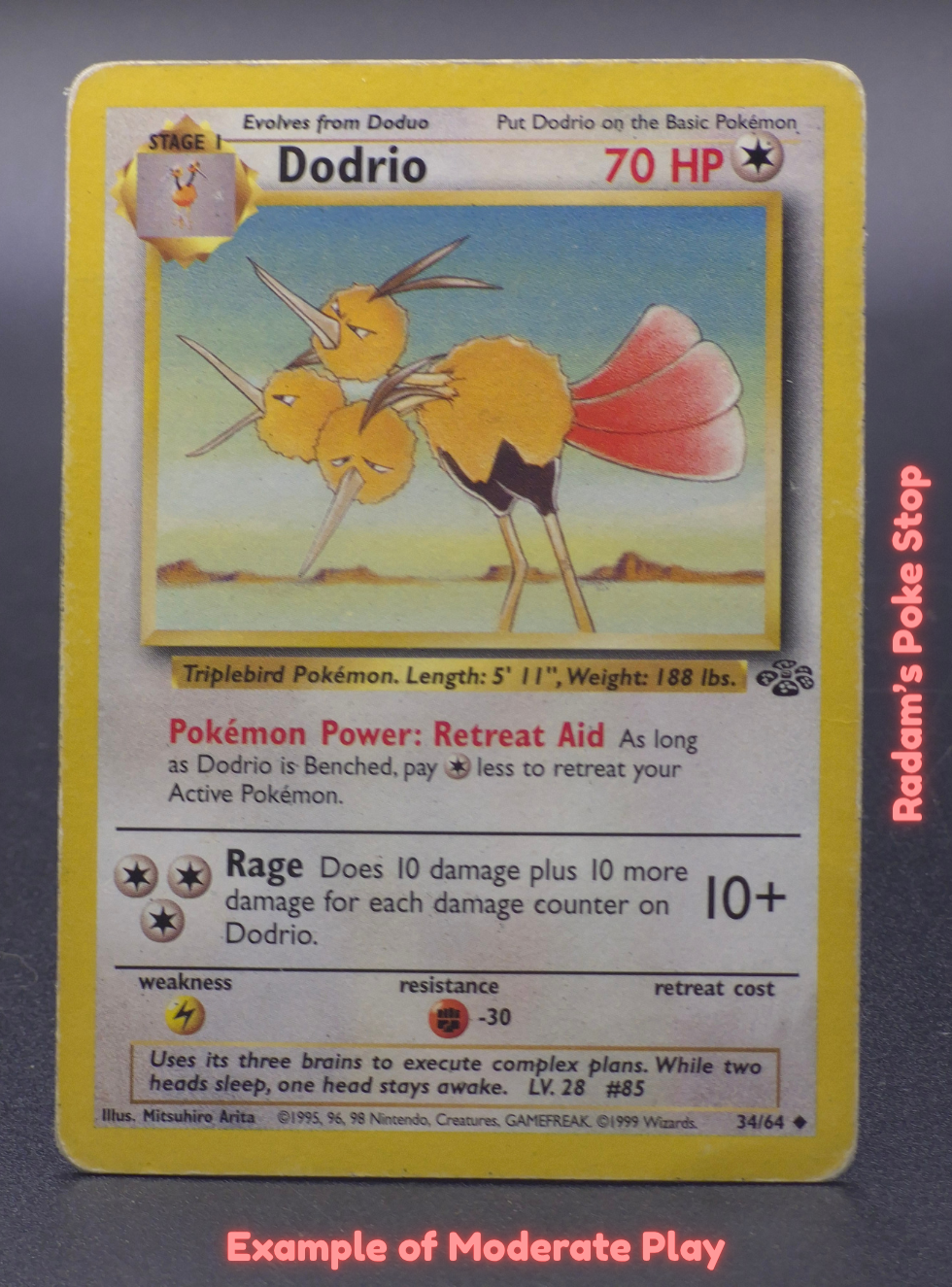 MP Dodrio.png