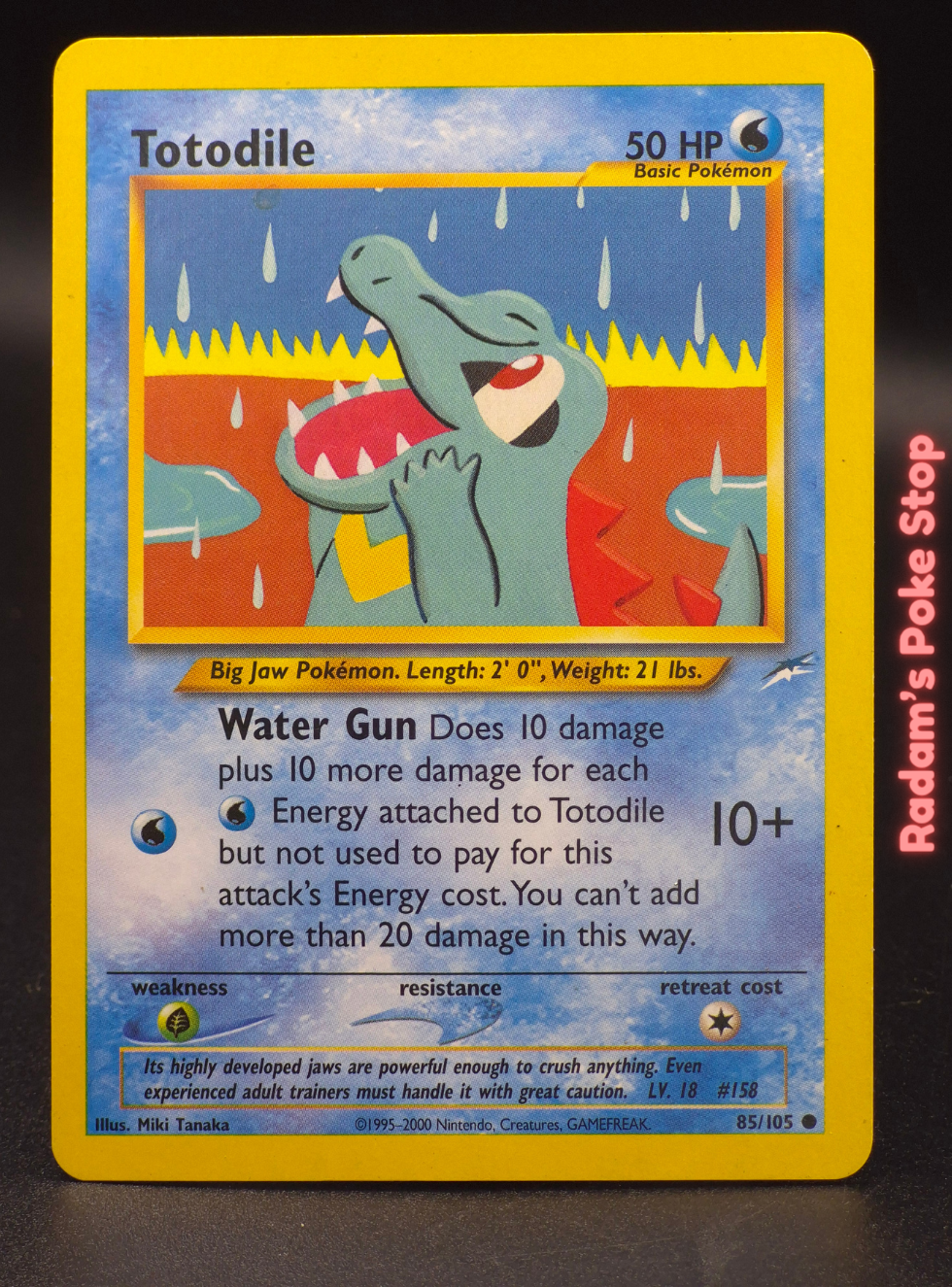 neo des 85_105 totodile.png